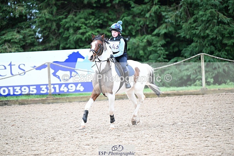 241116-082953-00039 - Cls 1 70-75cm