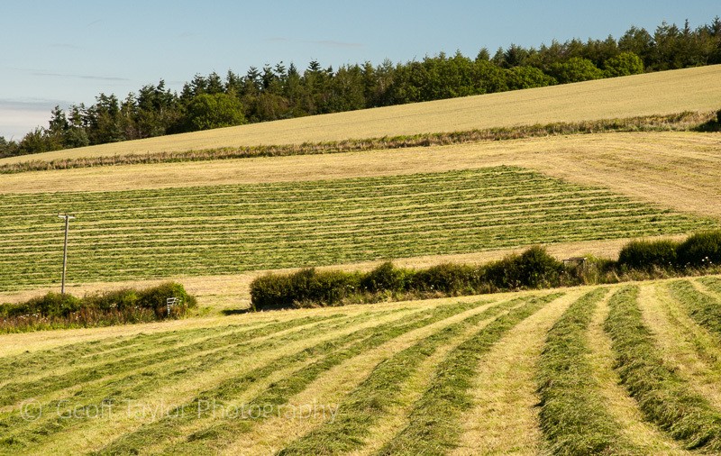 Oakeley Mynd - Clun Valley