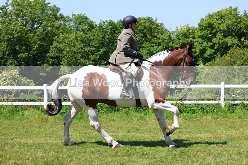 3E7A7197 - Class 30: Novice Working Hunter