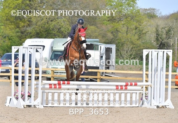 BPP_3653 - CLASS 1 Clear Round Show Jumping
