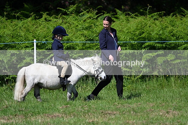 WJ7_0671 - Class 8 First Rally Pony