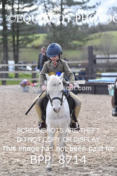 BPP_8714 - TRAINING STAKES