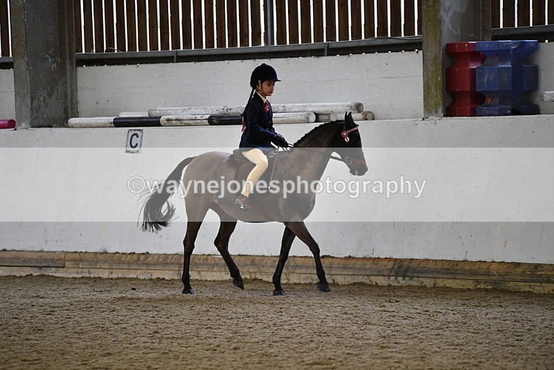 WJ5_6525 - Class 10 Childs Pony
