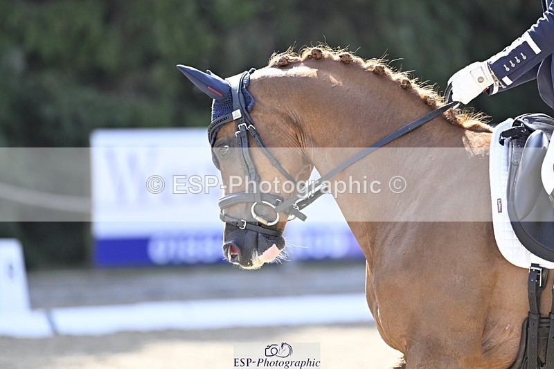 250810A-104655-04951 - 159-Avah.HeathWFD.Just.Dillon