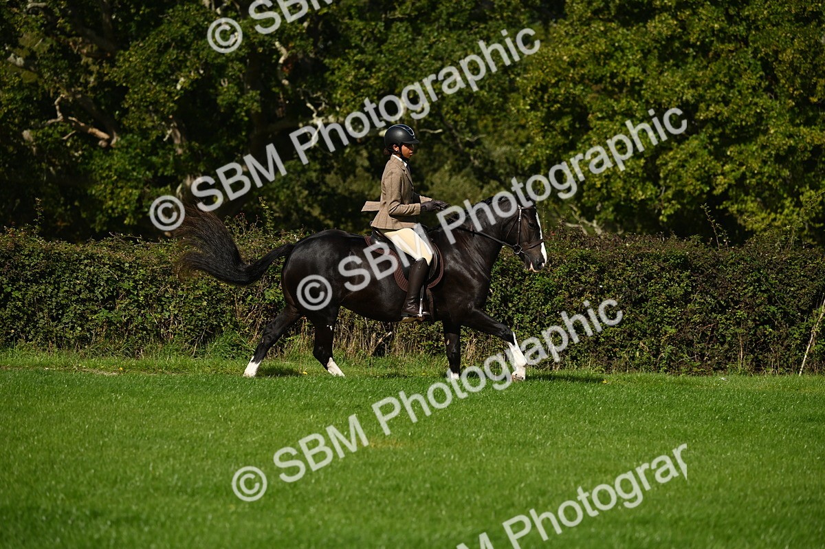 SBM_01432 - S2 - TSR Ridden Horse Showing