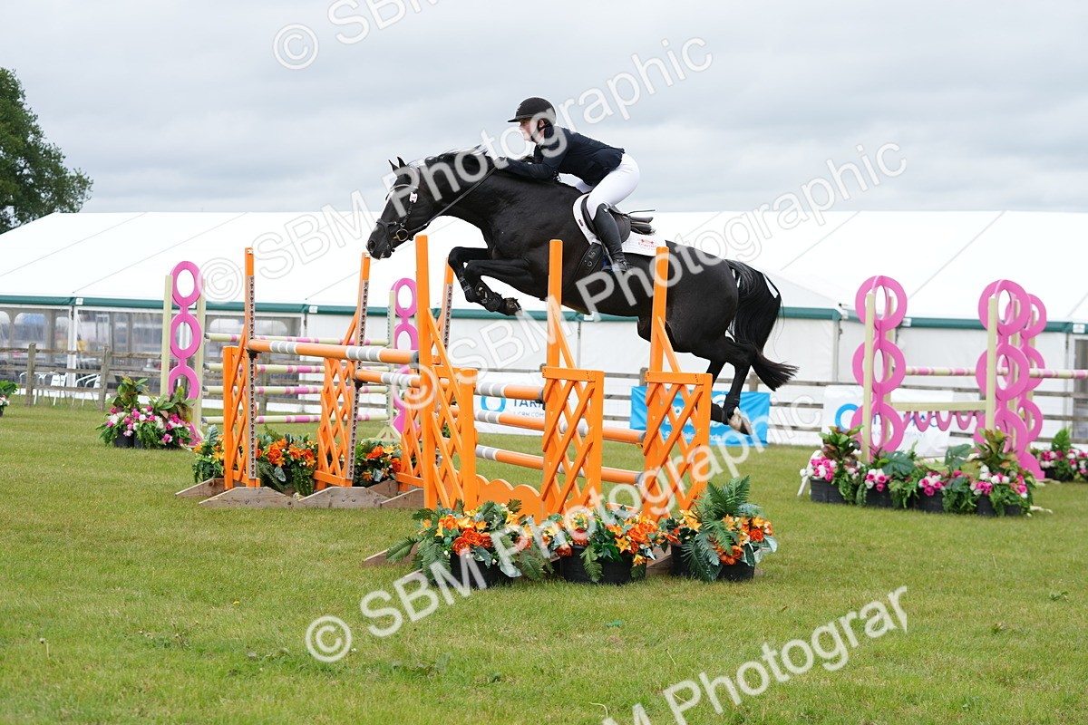 SBM_03316 - Class 201 - British Horse Feeds Speedi Beet Horse of the Year Show Grade  C