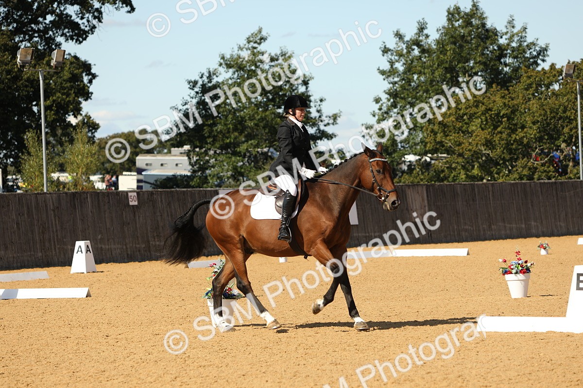 SBM_24447 - D17 - Grand Tour Championship - Novice 27