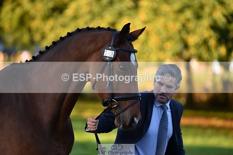 231022-083846-21272 - 683-ALVESCOT.FIVE.STAR-Mark.Ford-TrotUp+SJ