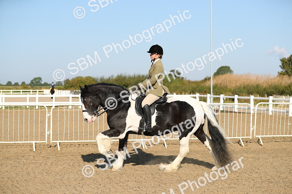 SBM_01177 - Class 42 Ridden Veteran
