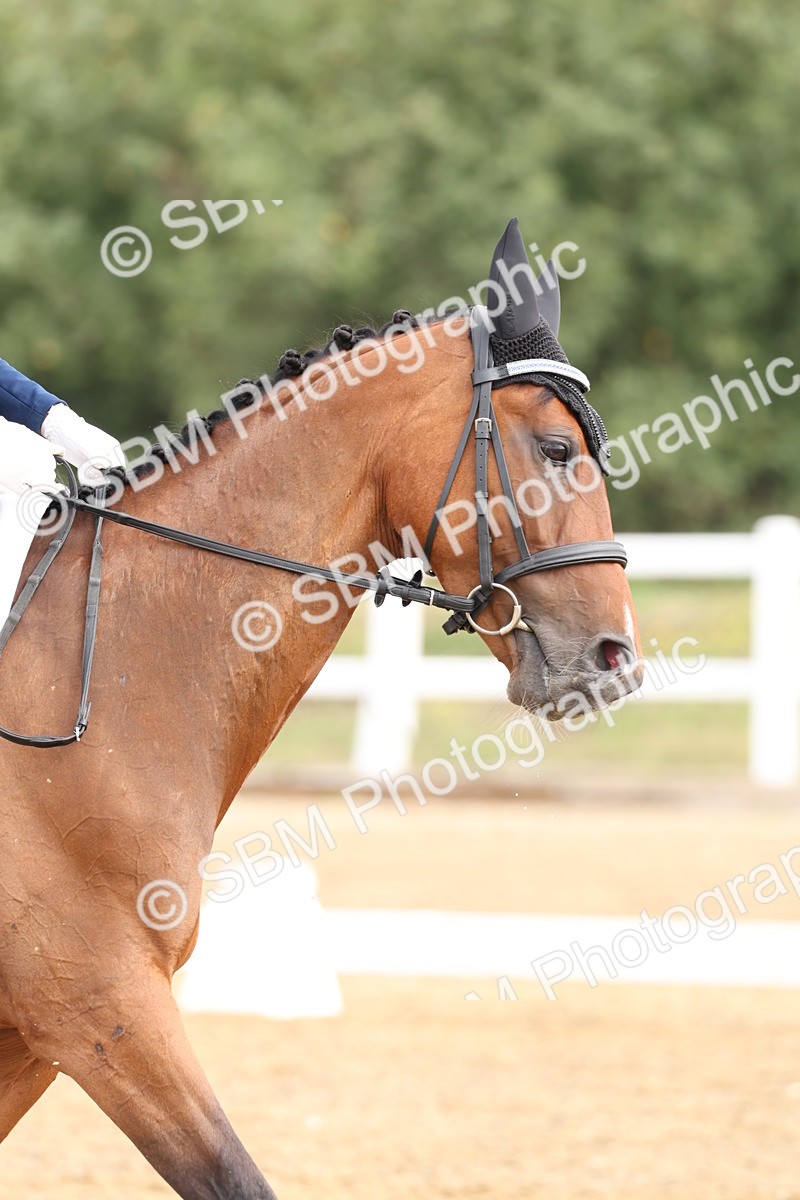 SBM_005474 - Class 6 - Novice 6 - 9.30-10.12