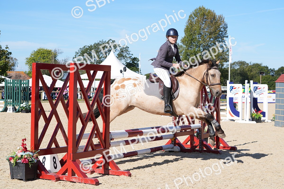 SBM_38630 - J21 - Junior Horse 60cm Championship
