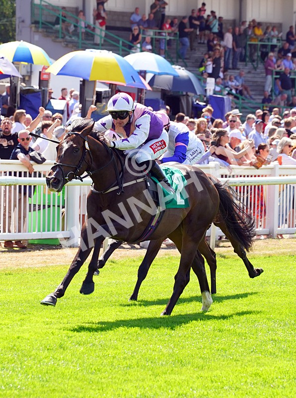 240726-Race 2-Blakey Ridge-01118 - Race 2 14.30pm Sky Bet For The Fans EBF Novice Stakes