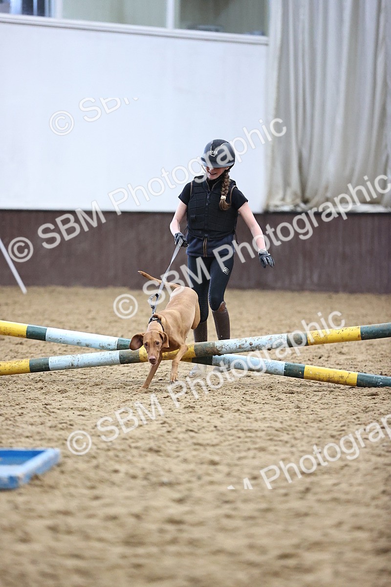 SBM_001288 - Class 3 - Horse & Hound 60cm