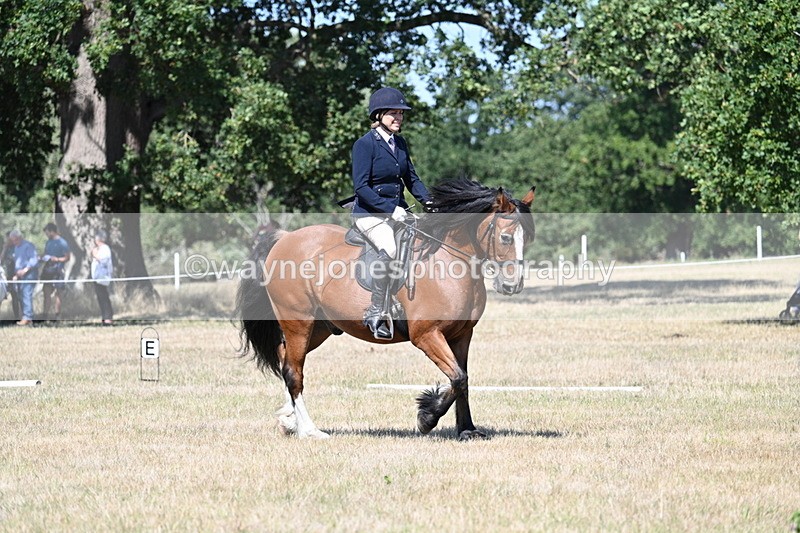 WJ7_0712 - Time 12:03 to 12:23