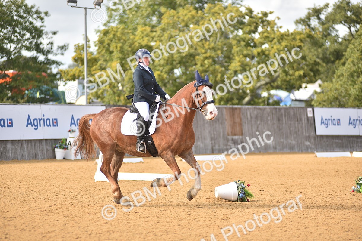 SBM_24382 - D4 - Small Tour Championship Intro 4