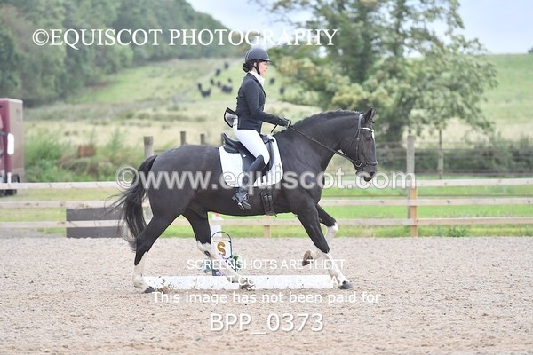 BPP_0373 - ELEM 6 & 4