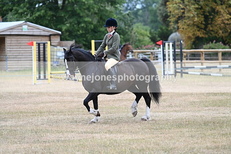 WJ7_0327 - Class 6 Ridden Mountain and Moorland