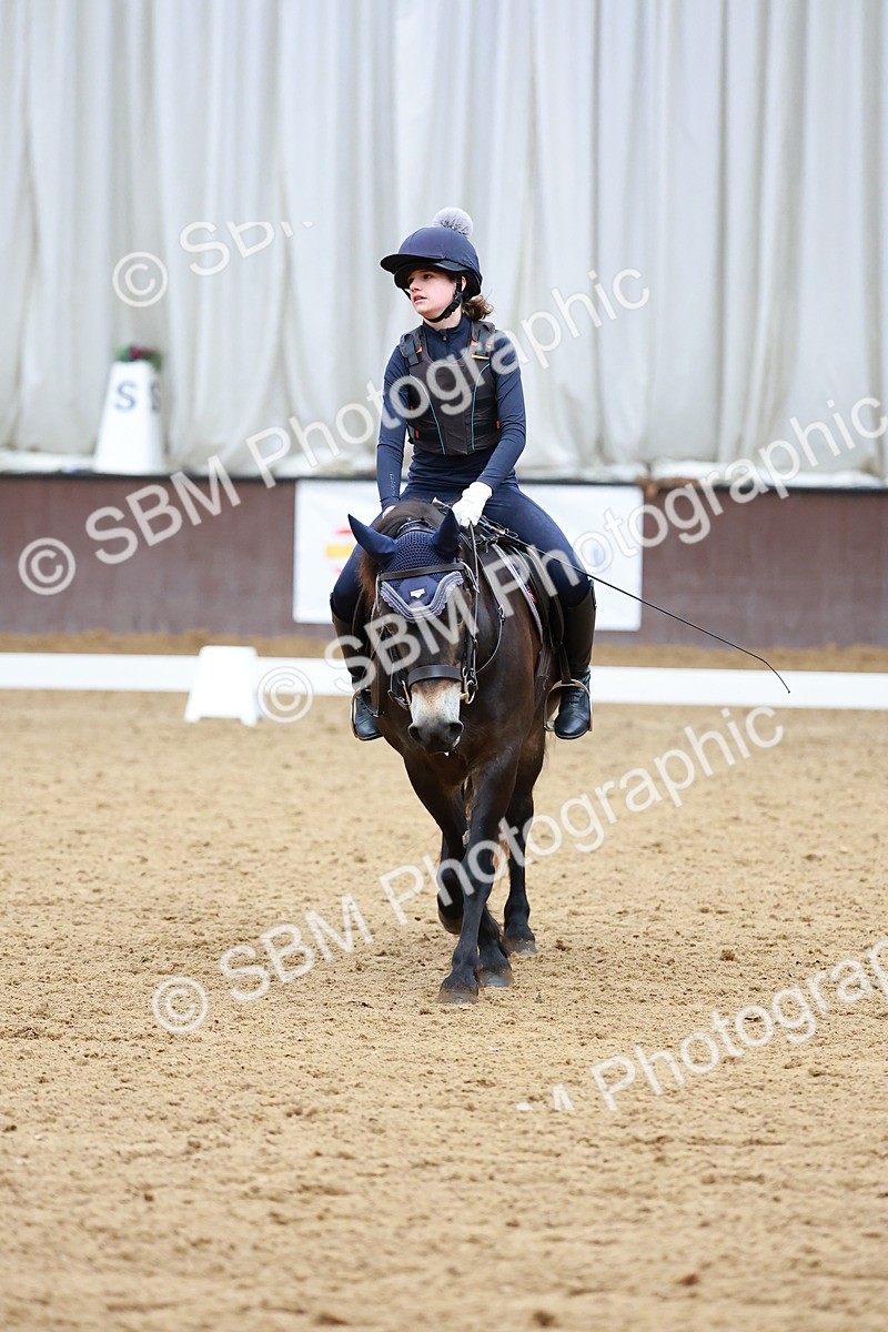 1I0A0734 - Class 3-6 - Prelim 1-Novice 2