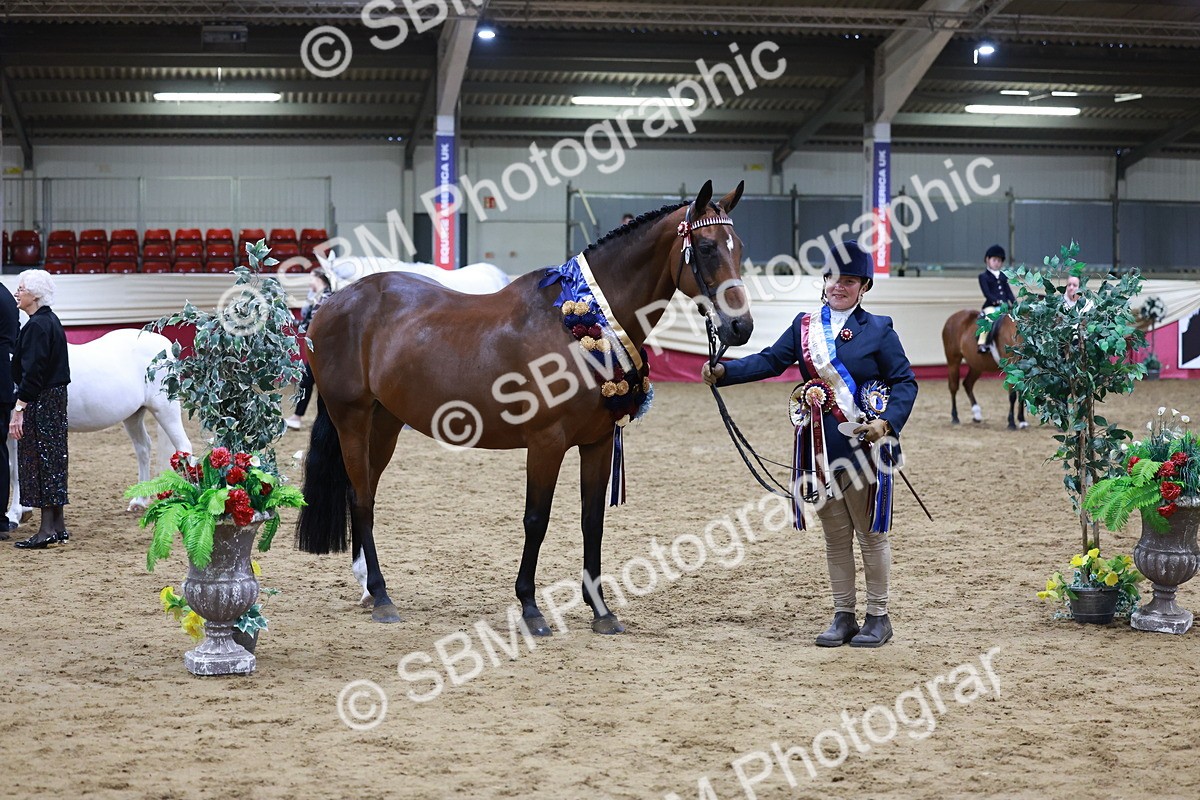 SBM_20360 - Class E - Best Turned Out Champ