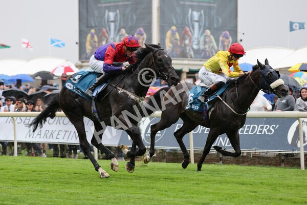 yr22072022r1-26 - Race 1 5.20pm John Wright Electrical Handicap Apprentice Stakes