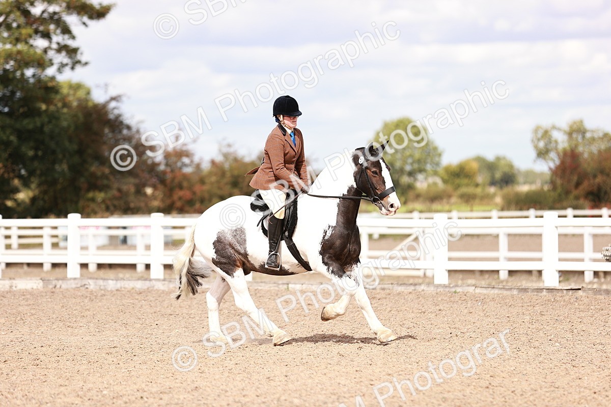 SBM_14482 - Class 410 - Grassroots Ridden - Horse
