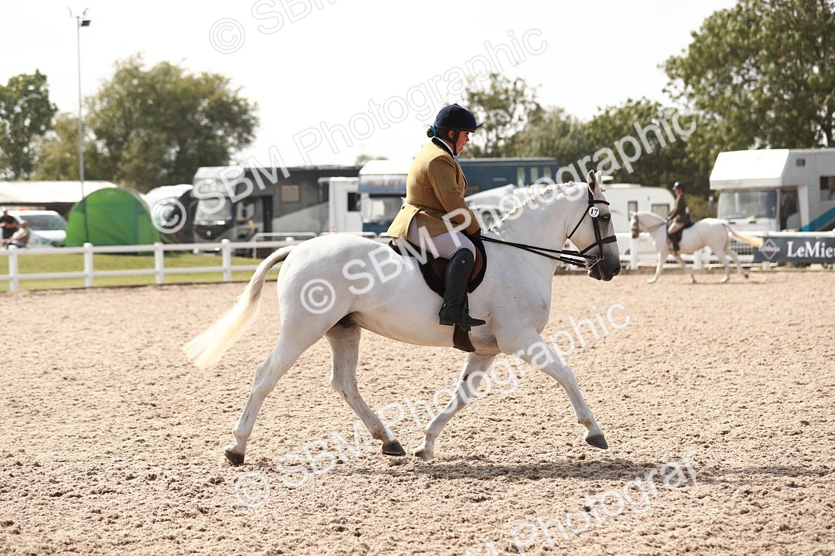 SBM_14846 - Class 212 Ridden Hunter - Small