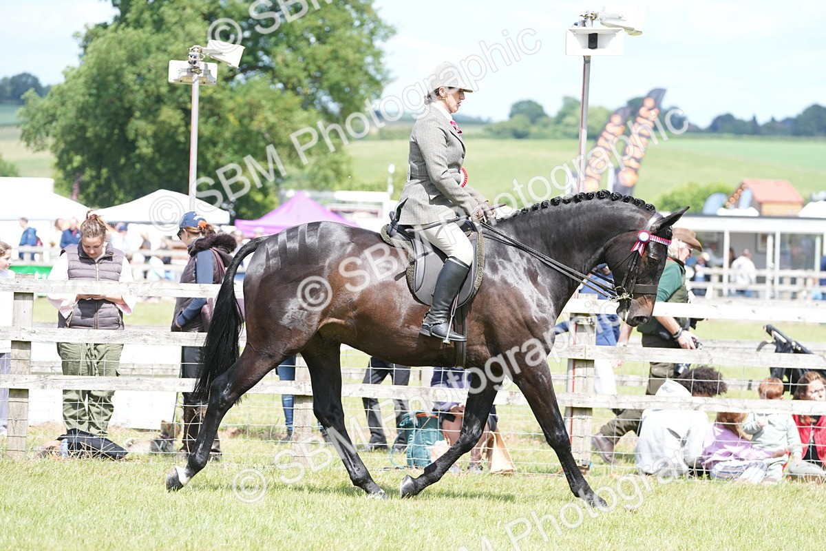 SBM_16284 - Class 105-106 - RIHS Riding Horses