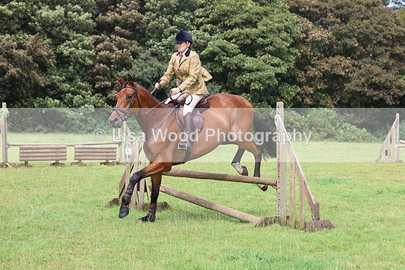 3E7A5832 - Class 26 and 27: 70cm Working Hunter