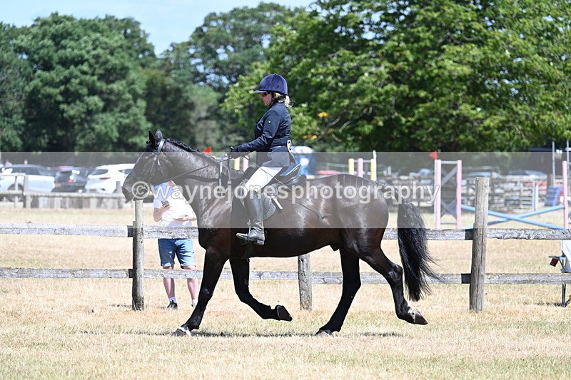 WJ7_2787 - Class 7 Riding Club Show Horse