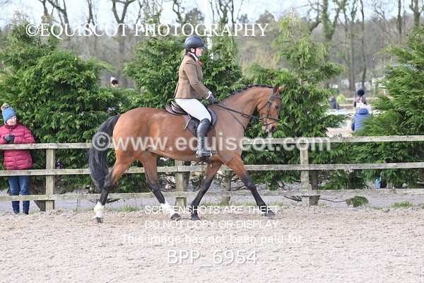 BPP_6954 - RING 1  (RIDDEN HORSES / IN HAND / VETERAN ETC)