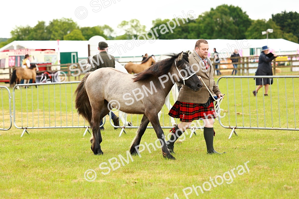 SBM_00340 - Class 58-67 - M&M Non Welsh Pony In hand