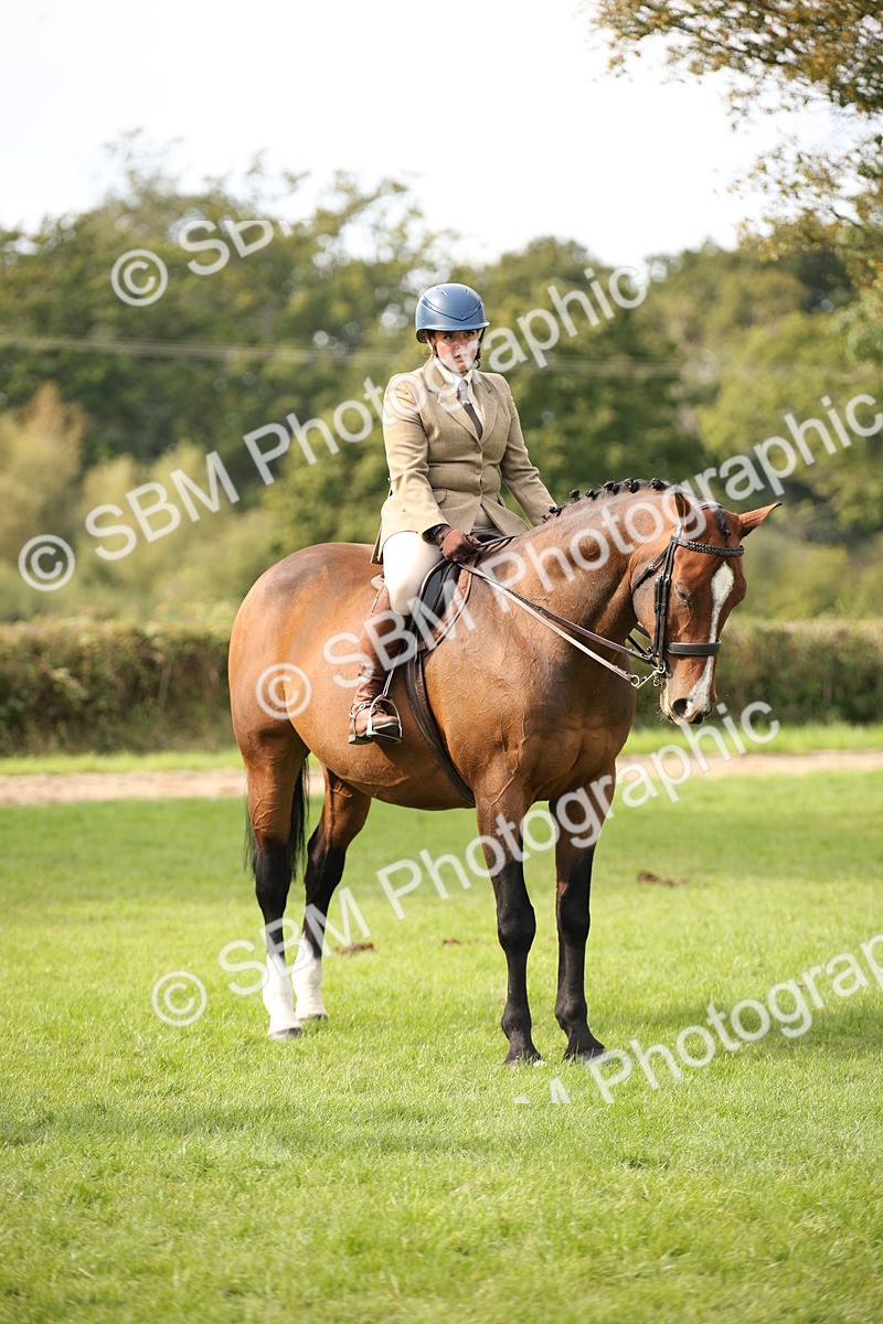 SBM_70410 - S66 - Hunter Ridden