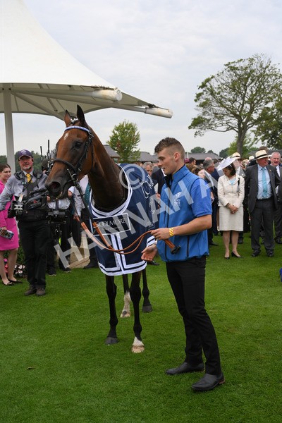 yr20082021r4-138 - Race 4 3.35pm Coolmore Wootton Bassett Nunthorpe Stakes (British Champions Series Race)