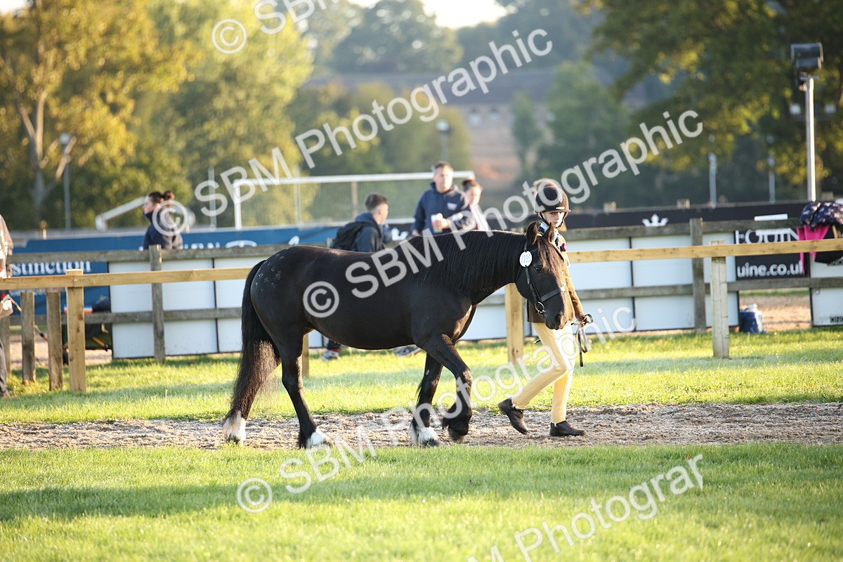 SBM_32251 - S8 - Best Turned Out