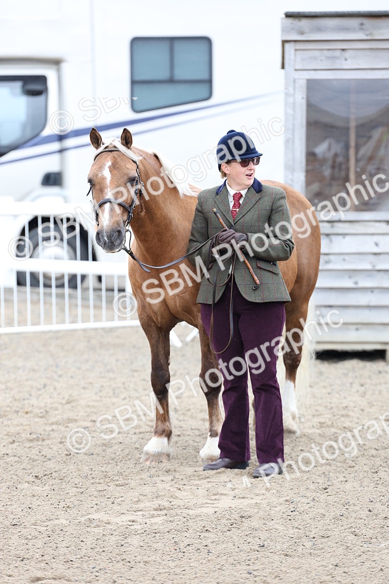 SBM_00075 - Class 50 - Best Turned Out IH