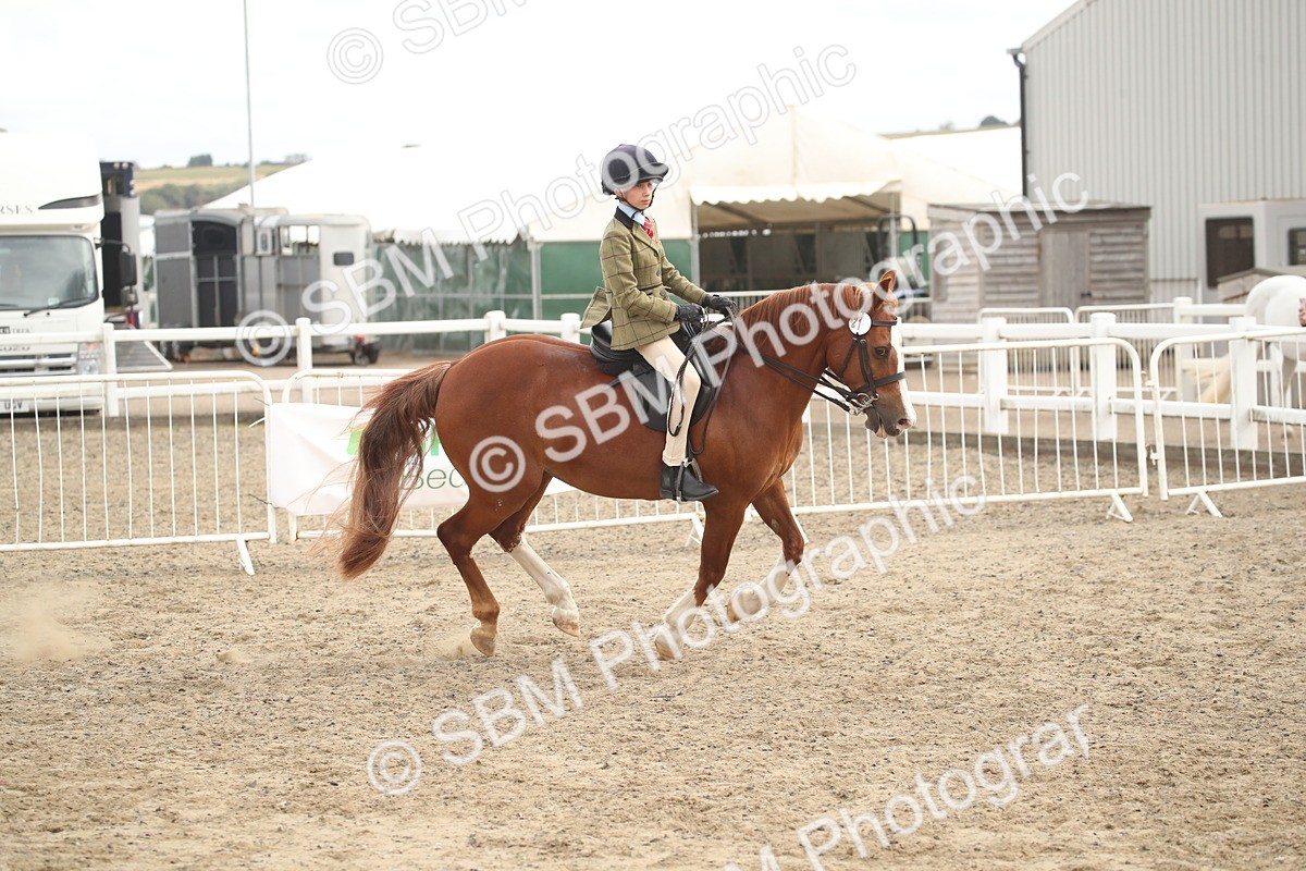 SBM_17888 - Class 508b - Working Veteran 70cm (20+)