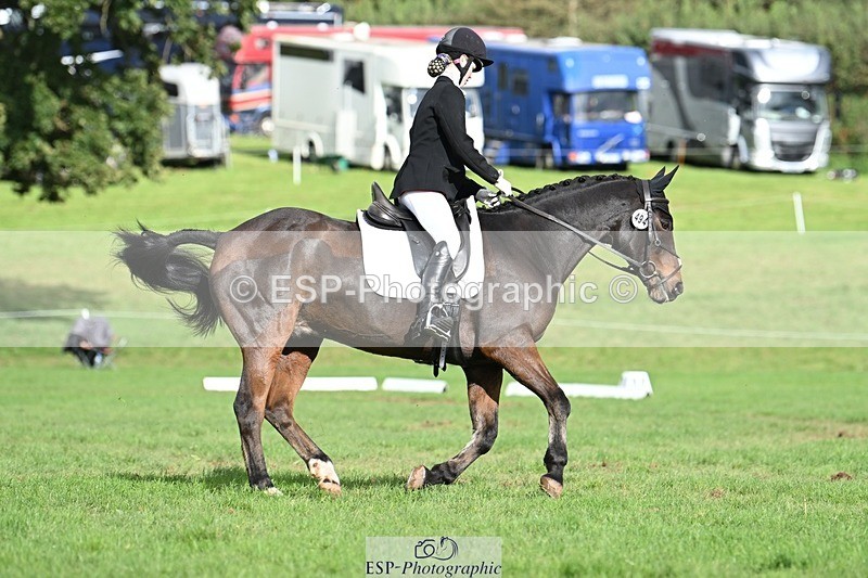 231020-140738-10554 - 494-WEST.FIELD.REBEL-Laura.Bilham-DR