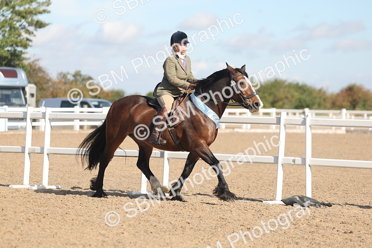 SBM_12446 - Class 304 - Ridden part Bred Horse Pony