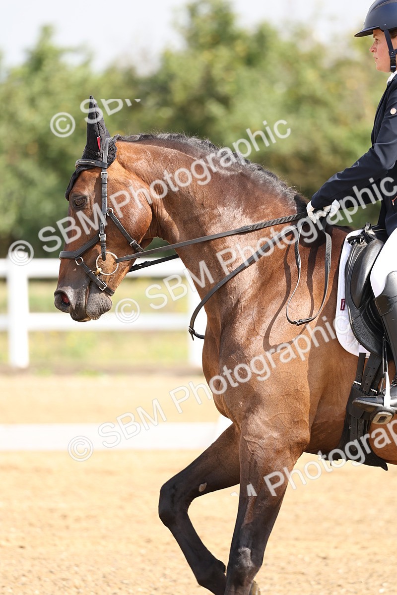 SBM_005722 - Class 6 - Novice 6 - 10.26-11.29