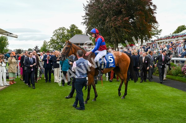 220824-Race 4-Content-6988 - Race 4 3.35pm Pertemps Network Yorkshire Oaks