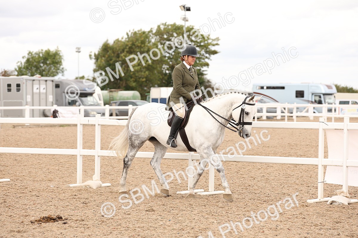 SBM_16470 - Class 212 - Ridden Hunter - Small