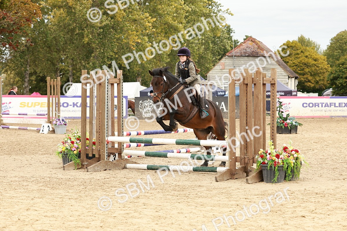 SBM_66881 - J13 - Junior Pony 60cm Championship