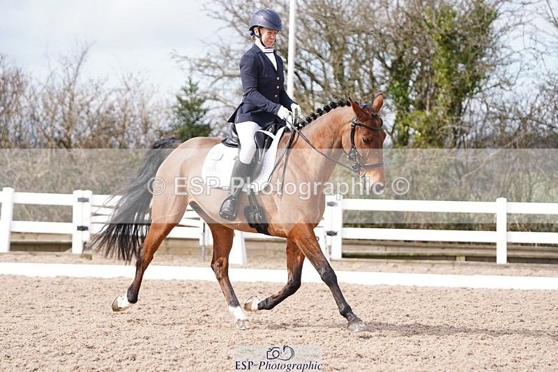 250322-111110-00222 - DR Elementary 1 Test