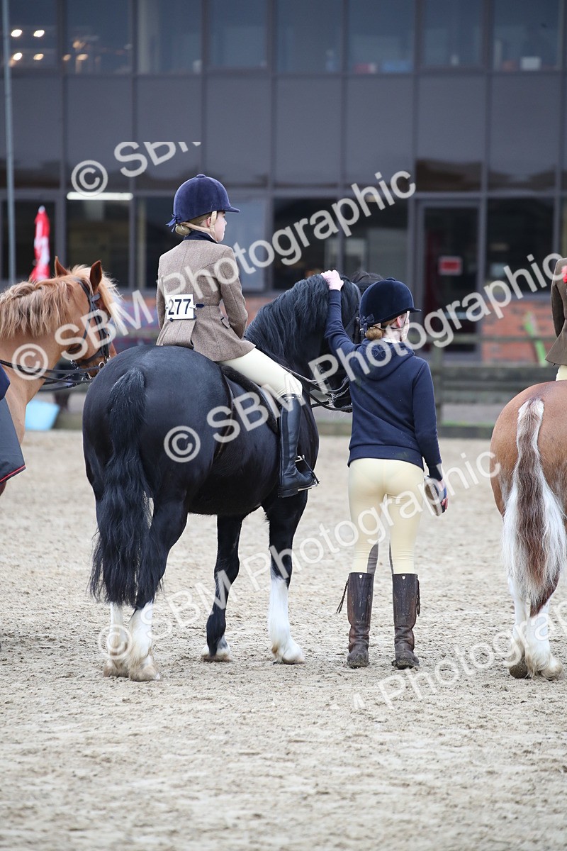 SBM_006172 - Class 10-13 - RIHS Small Large Breeds
