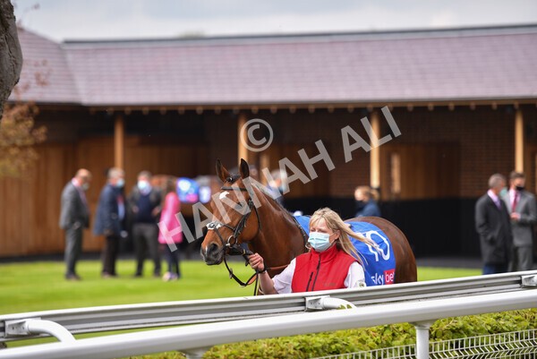 yr12052021r1-6 - Race 1 1.40pm Sky Bet Race to the Ebor Jorvik Stakes