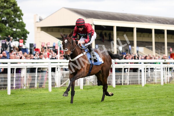 yr12052022r7-25 - Race 7 5.15pm Fidomoney Stakes