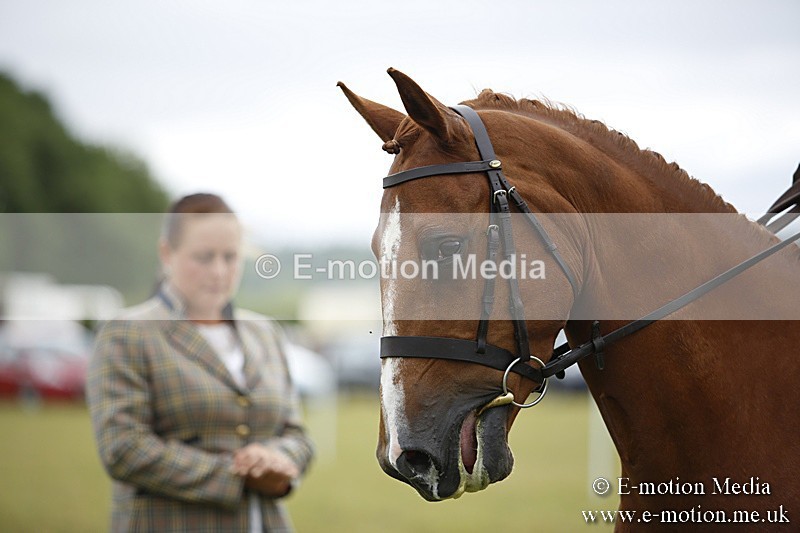 BVR160717-282 - Ring 1 BVRC Show 16/07/17