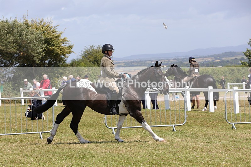 1X9A4608 - Class 34: Veteran Ridden