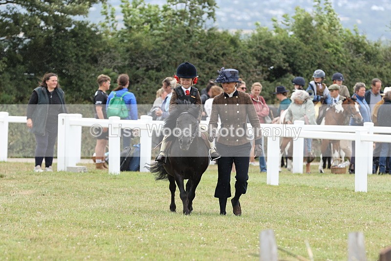 JPP_1721 - Class 18: Tiny Tots Working Hunter Pony