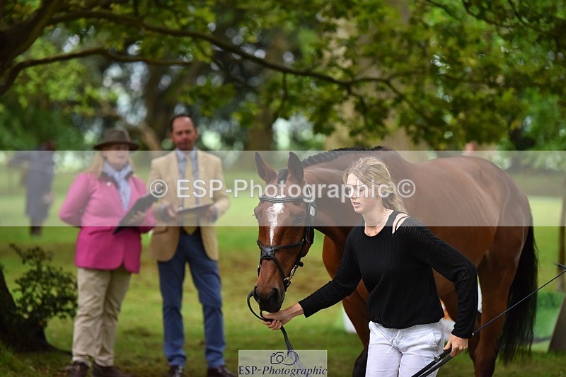 240522-173018-01658 - 292-MY_DREAM_H.J.-Pippa_Royle